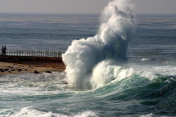 Catch the crashing waves at the Children’s Pool.